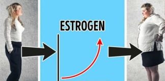 MASLO NA BEDIMA STVARA ESTROGEN, KORTIZOLA NA TRBUHU: Evo kako zaustaviti hormonsko debljanje