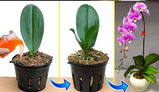 - featured image - featured image