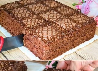 POČETNICI, OVO JE ZA VAS – čokoladna torta koja djeluje