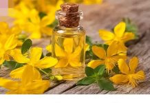 U svom domu uvijek držite ulje gospine trave jer jedna bočica liječi 10 bolesti