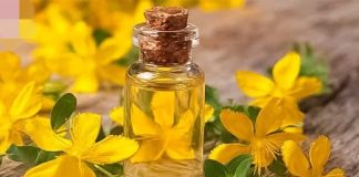 U svom domu uvijek držite ulje gospine trave jer jedna bočica liječi 10 bolesti