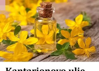 U svom domu uvijek držite ulje gospine trave jer jedna bočica liječi 10 bolesti