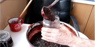 KAKO NAPRAVITI DŽEM OD ŠLJIVA U PEĆNICI Bolji okus ne možete zamisliti