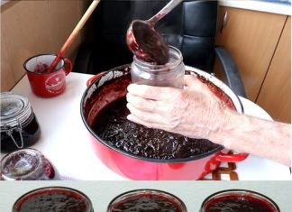 KAKO NAPRAVITI DŽEM OD ŠLJIVA U PEĆNICI Bolji okus ne možete zamisliti