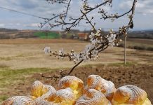 Kremaste princes krofne: Savršen recept za domaći desert Kremaste princes krofne: Savršen recept za domaći desert - featured image