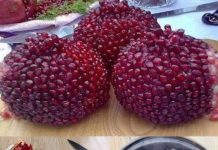 Skrivena moć kore nara: 10 zdravstvenih dobrobiti i kako je koristiti