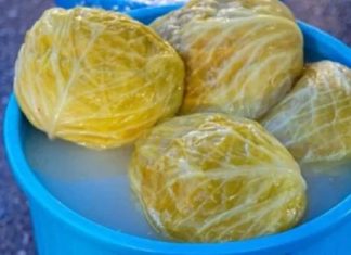 U kiseli kupus obavezno dodajte 1 poseban sastojak: Brže se kiseli, a neće se kvariti U kiseli kupus obavezno dodajte 1 poseban sastojak: Brže se kiseli, a neće se kvariti - featured image