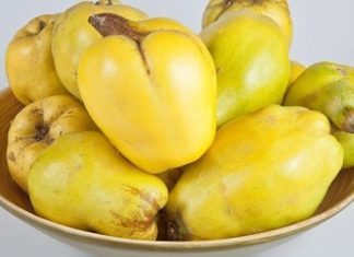 NAŠI RODITELJI SU IH ČUVALI U ORMARU: Znali su za recepte i s njima liječili mnoge tegobe NAŠI RODITELJI SU IH ČUVALI U ORMARU: Znali su za recepte i s njima liječili mnoge tegobe - featured image