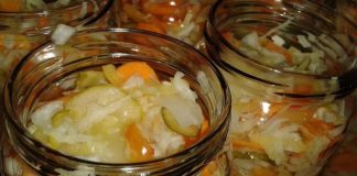 PRELJEV ZA SVE VRSTE ZIMNICE+RECEPT ZA MOJU MIJEŠANU SALATU PRELJEV ZA SVE VRSTE ZIMNICE+RECEPT ZA MOJU MIJEŠANU SALATU - featured image