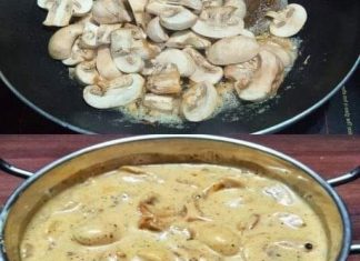 Recept dana: Savršeno kremasti umak od šampinjona koji se brzo priprema Recept dana: Savršeno kremasti umak od šampinjona koji se brzo priprema - featured image