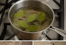 Pomaže kod velikog broja tegoba – Samo pomiješajte lovorov list i klinčiće i popijte ih na ovaj način Pomaže kod velikog broja tegoba – Samo pomiješajte lovorov list i klinčiće i popijte ih na ovaj način - featured image