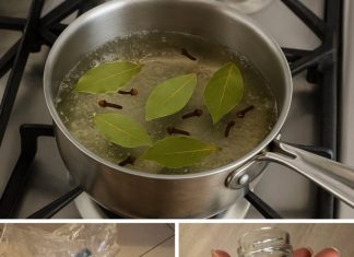 Pomaže kod velikog broja tegoba – Samo pomiješajte lovorov list i klinčiće i popijte ih na ovaj način Pomaže kod velikog broja tegoba – Samo pomiješajte lovorov list i klinčiće i popijte ih na ovaj način - featured image