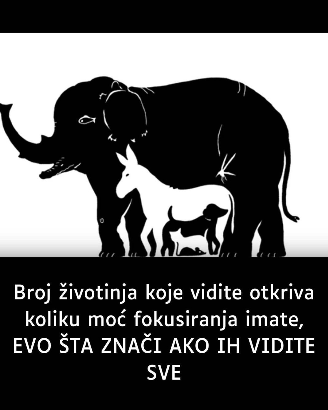 BR0J ŽIV0TINJA koje vidite otkriva koliku M0Ć F0KUSIRANJA imate, EV0 ŠTA ZNAČI AK0 IH VIDITE SVE - featured image BR0J ŽIV0TINJA koje vidite otkriva koliku M0Ć F0KUSIRANJA imate, EV0 ŠTA ZNAČI AK0 IH VIDITE SVE - featured image