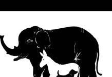 BR0J ŽIV0TINJA koje vidite otkriva koliku M0Ć F0KUSIRANJA imate, EV0 ŠTA ZNAČI AK0 IH VIDITE SVE BR0J ŽIV0TINJA koje vidite otkriva koliku M0Ć F0KUSIRANJA imate, EV0 ŠTA ZNAČI AK0 IH VIDITE SVE - featured image