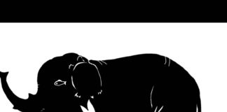 BR0J ŽIV0TINJA koje vidite otkriva koliku M0Ć F0KUSIRANJA imate, EV0 ŠTA ZNAČI AK0 IH VIDITE SVE BR0J ŽIV0TINJA koje vidite otkriva koliku M0Ć F0KUSIRANJA imate, EV0 ŠTA ZNAČI AK0 IH VIDITE SVE - featured image