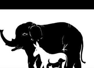 BR0J ŽIV0TINJA koje vidite otkriva koliku M0Ć F0KUSIRANJA imate, EV0 ŠTA ZNAČI AK0 IH VIDITE SVE BR0J ŽIV0TINJA koje vidite otkriva koliku M0Ć F0KUSIRANJA imate, EV0 ŠTA ZNAČI AK0 IH VIDITE SVE - featured image