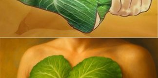 Listovi kupusa na prsima: Prirodni lijek za zagušenje i ublažavanje kašlja Listovi kupusa na prsima: Prirodni lijek za zagušenje i ublažavanje kašlja - featured image