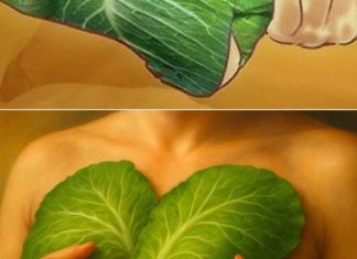 Listovi kupusa na prsima: Prirodni lijek za zagušenje i ublažavanje kašlja Listovi kupusa na prsima: Prirodni lijek za zagušenje i ublažavanje kašlja - featured image