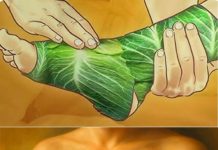 Listovi kupusa na prsima: Prirodni lijek za zagušenje i ublažavanje kašlja – Listovi kupusa na prsima: Prirodni lijek za zagušenje i ublažavanje kašlja - - featured image