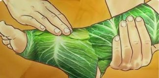 Listovi kupusa na prsima: Prirodni lijek za zagušenje i ublažavanje kašlja – Listovi kupusa na prsima: Prirodni lijek za zagušenje i ublažavanje kašlja - - featured image