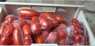 Trebalo je samo 5 MINUTA za pripremu! Konačno sam naučio/la kako čuvati paradajz CIJELE GODINE. Jest ću ga svježeg čak i zimi Trebalo je samo 5 MINUTA za pripremu! Konačno sam naučio/la kako čuvati paradajz CIJELE GODINE. Jest ću ga svježeg čak i zimi - featured image