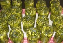 KISALI KRASTAVCI BEZ KONZERVANSA…Uz ovaj TRIK kiseli krastavci će biti bolji od KUPOVNIH i dugo HRSKAVI i sočni KISALI KRASTAVCI BEZ KONZERVANSA…Uz ovaj TRIK kiseli krastavci će biti bolji od KUPOVNIH i dugo HRSKAVI i sočni - featured image