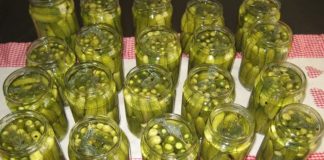 KISALI KRASTAVCI BEZ KONZERVANSA…Uz ovaj TRIK kiseli krastavci će biti bolji od KUPOVNIH i dugo HRSKAVI i sočni KISALI KRASTAVCI BEZ KONZERVANSA…Uz ovaj TRIK kiseli krastavci će biti bolji od KUPOVNIH i dugo HRSKAVI i sočni - featured image