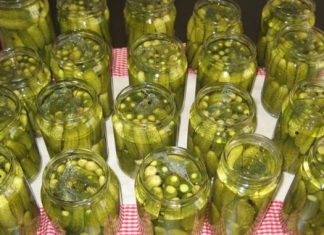 KISALI KRASTAVCI BEZ KONZERVANSA…Uz ovaj TRIK kiseli krastavci će biti bolji od KUPOVNIH i dugo HRSKAVI i sočni KISALI KRASTAVCI BEZ KONZERVANSA…Uz ovaj TRIK kiseli krastavci će biti bolji od KUPOVNIH i dugo HRSKAVI i sočni - featured image