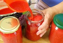 POLIZAT ĆETE PRSTE ZA ZIMU – kuhani paradajz za zimu, recept za zimu BEZ KONZERVANSA… POLIZAT ĆETE PRSTE ZA ZIMU – kuhani paradajz za zimu, recept za zimu BEZ KONZERVANSA… - featured image