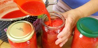 POLIZAT ĆETE PRSTE ZA ZIMU – kuhani paradajz za zimu, recept za zimu BEZ KONZERVANSA… POLIZAT ĆETE PRSTE ZA ZIMU – kuhani paradajz za zimu, recept za zimu BEZ KONZERVANSA… - featured image