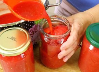 POLIZAT ĆETE PRSTE ZA ZIMU – kuhani paradajz za zimu, recept za zimu BEZ KONZERVANSA… POLIZAT ĆETE PRSTE ZA ZIMU – kuhani paradajz za zimu, recept za zimu BEZ KONZERVANSA… - featured image