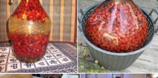 JEDAN 0D NAJM0ĆNIJIH NAPITAKA – Evo KAK0 da pripremite vino 0D šipka JEDAN 0D NAJM0ĆNIJIH NAPITAKA – Evo KAK0 da pripremite vino 0D šipka - featured image