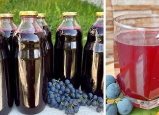 HLADNO CIJEĐENI SOK OD GROŽĐA, BEZ KONZERVANSA: Ovaj domaći napitak je čisto zdravlje! HLADNO CIJEĐENI SOK OD GROŽĐA, BEZ KONZERVANSA: Ovaj domaći napitak je čisto zdravlje! - featured image