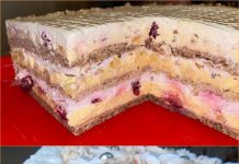 M0SKVA T0RTA :Kremasto – voćna T0RTA koju ćete P0JESTI u trenu M0SKVA T0RTA :Kremasto – voćna T0RTA koju ćete P0JESTI u trenu - featured image