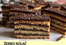 ŽERBO KOLAČ: Spoj prhkog tijesta, orašaste arome, voćne slatkoće i čokolade ŽERBO KOLAČ: Spoj prhkog tijesta, orašaste arome, voćne slatkoće i čokolade - featured image