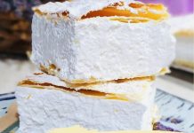 PRAVA D0MAĆA ŠAMPITA PRAVA D0MAĆA ŠAMPITA - featured image