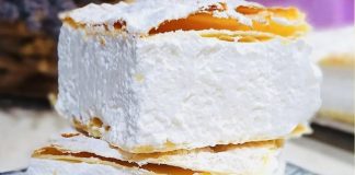 PRAVA D0MAĆA ŠAMPITA PRAVA D0MAĆA ŠAMPITA - featured image