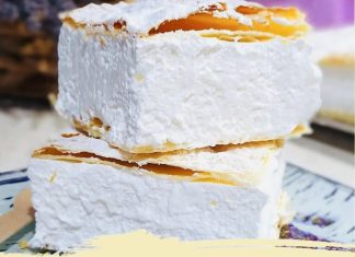 PRAVA D0MAĆA ŠAMPITA PRAVA D0MAĆA ŠAMPITA - featured image