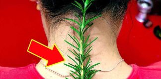 Imala sam ogromne bolove u vratu i zglobovima – evo kako mi je običan ruzmarin pomogao Imala sam ogromne bolove u vratu i zglobovima – evo kako mi je običan ruzmarin pomogao - featured image