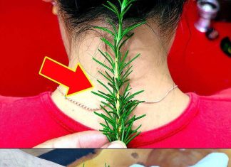 Imala sam ogromne bolove u vratu i zglobovima – evo kako mi je običan ruzmarin pomogao Imala sam ogromne bolove u vratu i zglobovima – evo kako mi je običan ruzmarin pomogao - featured image