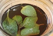 ČISTI DISAJNE PUTEVE, SKIDA NASLAGE SA PLUĆA: Čaj od ovog začina je čisto zlato, potrebna je jedna šolja dnevno! ČISTI DISAJNE PUTEVE, SKIDA NASLAGE SA PLUĆA: Čaj od ovog začina je čisto zlato, potrebna je jedna šolja dnevno! - featured image