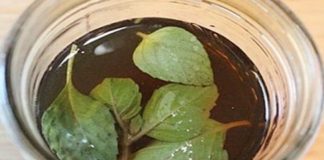 ČISTI DISAJNE PUTEVE, SKIDA NASLAGE SA PLUĆA: Čaj od ovog začina je čisto zlato, potrebna je jedna šolja dnevno! ČISTI DISAJNE PUTEVE, SKIDA NASLAGE SA PLUĆA: Čaj od ovog začina je čisto zlato, potrebna je jedna šolja dnevno! - featured image