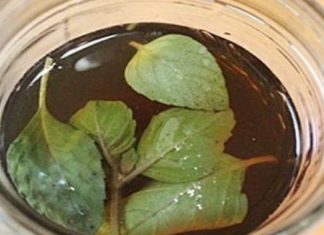 ČISTI DISAJNE PUTEVE, SKIDA NASLAGE SA PLUĆA: Čaj od ovog začina je čisto zlato, potrebna je jedna šolja dnevno! ČISTI DISAJNE PUTEVE, SKIDA NASLAGE SA PLUĆA: Čaj od ovog začina je čisto zlato, potrebna je jedna šolja dnevno! - featured image