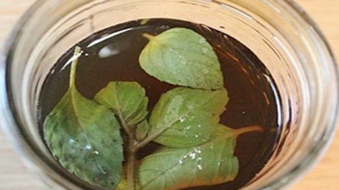 ČISTI DISAJNE PUTEVE, SKIDA NASLAGE SA PLUĆA: Čaj od ovog začina je čisto zlato, potrebna je jedna šolja dnevno! - featured image ČISTI DISAJNE PUTEVE, SKIDA NASLAGE SA PLUĆA: Čaj od ovog začina je čisto zlato, potrebna je jedna šolja dnevno! - featured image