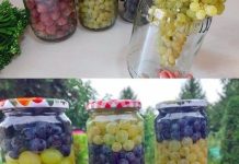 RECEPT ZA KOJIM SU SVI POLUDELI: Kako sačuvati grožđe u tegli da ne istruli, a ukus ostane nepromenjen RECEPT ZA KOJIM SU SVI POLUDELI: Kako sačuvati grožđe u tegli da ne istruli, a ukus ostane nepromenjen - featured image