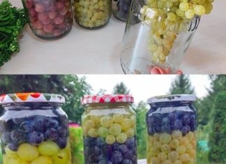 RECEPT ZA KOJIM SU SVI POLUDELI: Kako sačuvati grožđe u tegli da ne istruli, a ukus ostane nepromenjen RECEPT ZA KOJIM SU SVI POLUDELI: Kako sačuvati grožđe u tegli da ne istruli, a ukus ostane nepromenjen - featured image