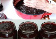 KAKO SPREMITI DŽEM OD ŠLJIVA U RERNI Bolji ukus ne možete zamisliti KAKO SPREMITI DŽEM OD ŠLJIVA U RERNI Bolji ukus ne možete zamisliti - featured image