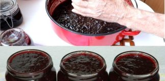 KAKO SPREMITI DŽEM OD ŠLJIVA U RERNI Bolji ukus ne možete zamisliti KAKO SPREMITI DŽEM OD ŠLJIVA U RERNI Bolji ukus ne možete zamisliti - featured image