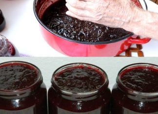 KAKO SPREMITI DŽEM OD ŠLJIVA U RERNI Bolji ukus ne možete zamisliti KAKO SPREMITI DŽEM OD ŠLJIVA U RERNI Bolji ukus ne možete zamisliti - featured image