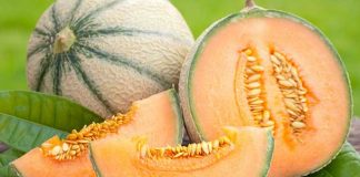 JEDITE DINJU U ŠTO VEĆIM KOLIČINAMA: EVO KOJIH 7 PROBLEMA LEČI OVA NAMIRNICA JEDITE DINJU U ŠTO VEĆIM KOLIČINAMA: EVO KOJIH 7 PROBLEMA LEČI OVA NAMIRNICA - featured image